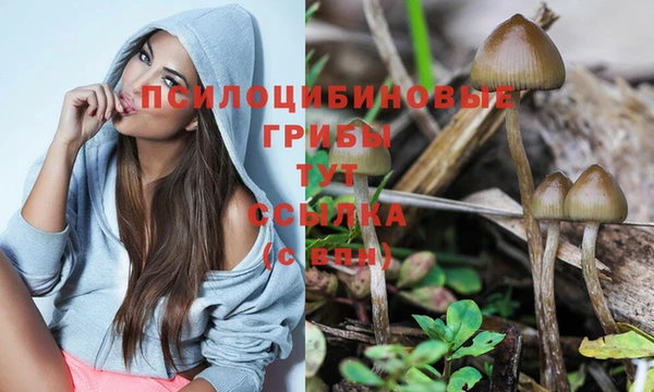 гидра Алзамай