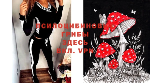 гидра Алзамай