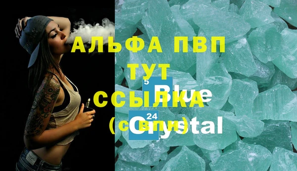 гидра Алзамай