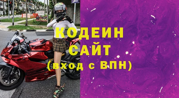 гашик Алексин